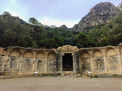VIAJE CULTURAL DE LOS SOCIOS MECENAS DEL CONSORCIO A TÚNE...