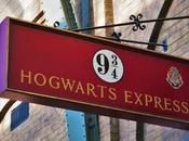 Sudaderas Harry Potter. ¡Vestir familia Navidad!