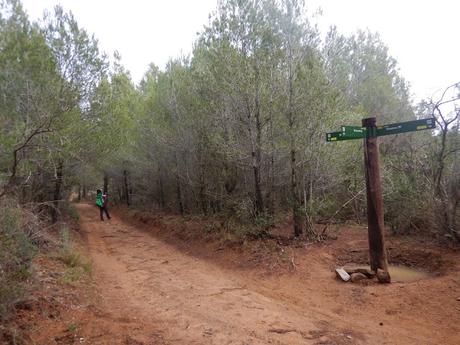 Ruta por la Mussara: Font del Llop | Ermita del Mas d’Anguera | Grau de les Marrades | Plans de Peiró | Cingles del Rabascall