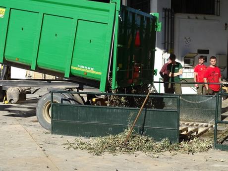 Estepa, olores de Navidad.