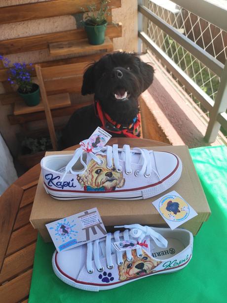 Este sábado 21 de diciembre se realiza la Primera Feria del Pet Emprendimiento