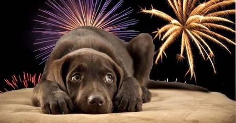 El municipio de Soledad prohíbe la venta de pirotecnia a partir del 2020