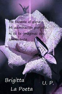 Te quiero amar bajo de la Luna.. Te quiero amar bajo de la Luna..