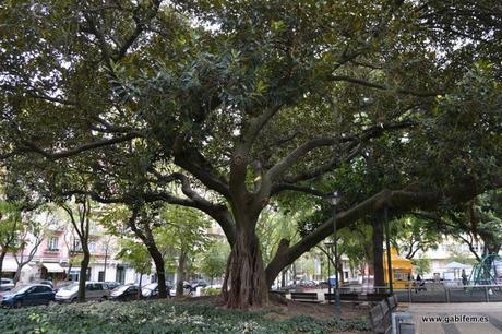 Penha de França (Lisboa) Penha de França (Lisboa)