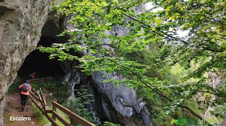 Bosquete calizo en el Escaleru