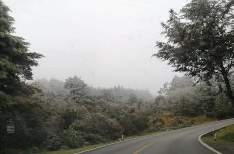 Sierra de Álvarez se viste de blanco debido a Frente Frío