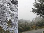 Sierra Álvarez viste blanco debido Frente Frío