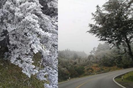 Sierra de Álvarez se viste de blanco debido a Frente Frío