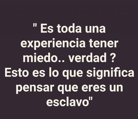 La desesperación, la nueva y renovada “esclavitud” de HAITÍ La desesperación, la nueva y renovada “esclavitud” de HAITÍ
