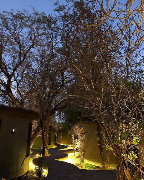 Katherine Rahal: “El buen diseño permanece en la memoria de la gente” 35146943_10155858510586429_1062303827874545664_o