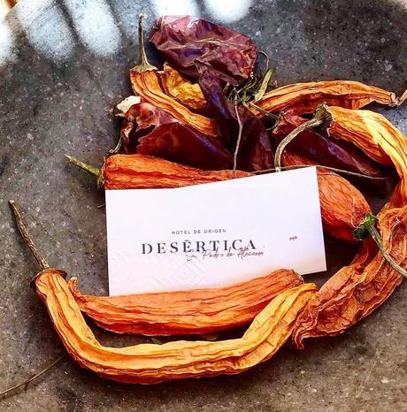 Katherine Rahal: “El buen diseño permanece en la memoria de la gente” 45935626_10156216493066429_5556023295297454080_o