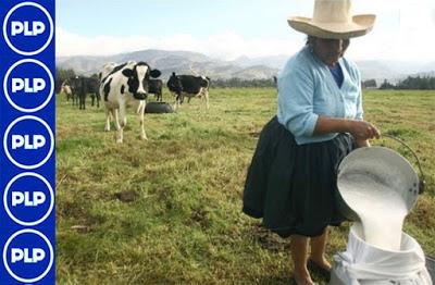 PROMOVIENDO LA COMPETITIVIDAD EN LOS PEQUEÑOS PRODUCTORES…