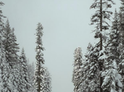 Operación Salida Navidad arranca 19,8 millones viajes previstos carretera