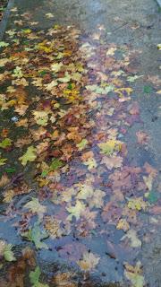 El adiós del otoño