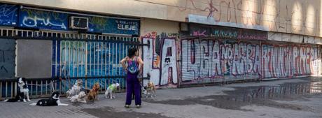 Se lanza libro Chile Despertó con fotografías de la zona cero
