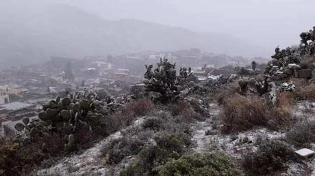 Cae nevada en Real de Catorce y se viste de blanco