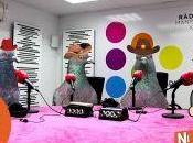 programa programo 1×12