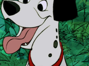Pongo