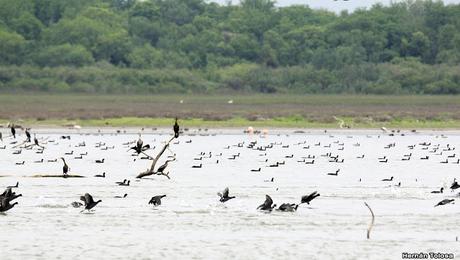 Miramar (4 de noviembre de 2019)