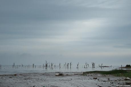 Miramar (4 de noviembre de 2019)