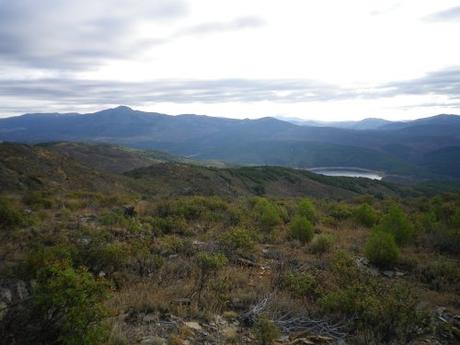 Felices Fiestas 2019