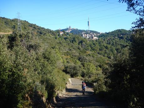 De Baixador de Vallvidrera a la Torre de Dalt o de Santa Margarida | Serra de Collserola