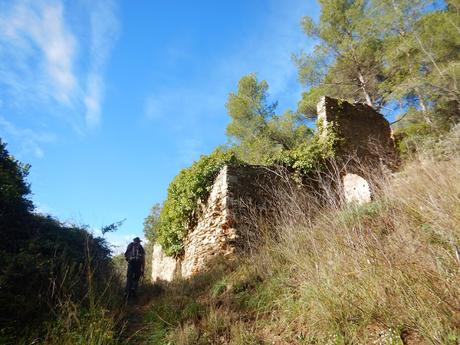 De Baixador de Vallvidrera a la Torre de Dalt o de Santa Margarida | Serra de Collserola