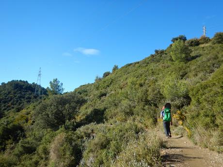 De Baixador de Vallvidrera a la Torre de Dalt o de Santa Margarida | Serra de Collserola