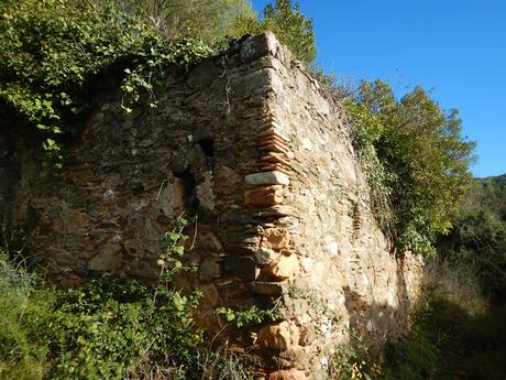 De Baixador de Vallvidrera a la Torre de Dalt o de Santa Margarida | Serra de Collserola