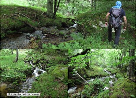 Vixidel-Lavandera-Pol.lares-La Rebel.lada