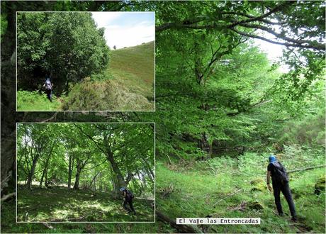 Vixidel-Lavandera-Pol.lares-La Rebel.lada