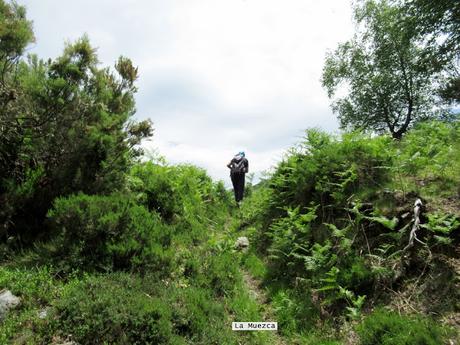 Vixidel-Lavandera-Pol.lares-La Rebel.lada