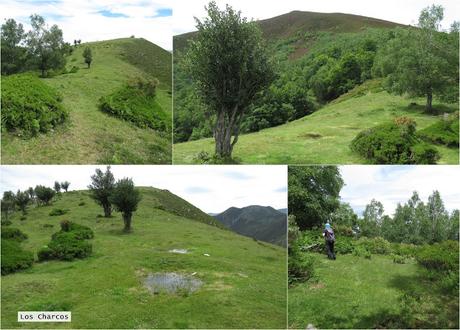 Vixidel-Lavandera-Pol.lares-La Rebel.lada