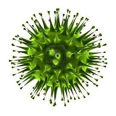virus gripe virus gripe