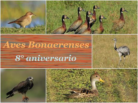 8° Aniversario de Aves Bonaerenses