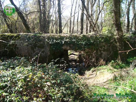 La leyenda de la fuente del elefante La leyenda de la fuente del elefante