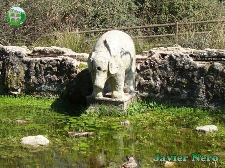 La leyenda de la fuente del elefante La leyenda de la fuente del elefante