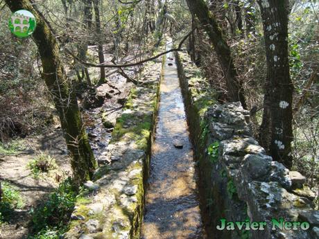 La leyenda de la fuente del elefante La leyenda de la fuente del elefante