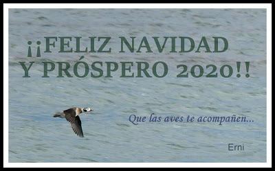 ¡¡FELICES FIESTAS PARA TODOS!!