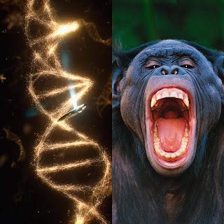 ¿Qué es lo que ha posicionado al ser humano al frente de la cadena alimenticia?