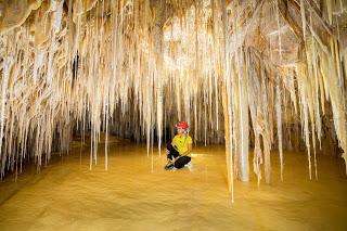 OPORTUNIDAD ÚNICA: Firma de libro en Villacarrillo