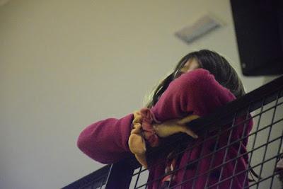 Galería de clics del Lima Horta Bàsquet-Bàsquet Femení Sant Adrià (Liga Femenina 2) Galería de clics del Lima Horta Bàsquet-Bàsquet Femení Sant Adrià (Liga Femenina 2)