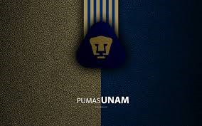 Calendario de Pumas clausura 2020 futbol mexicano 