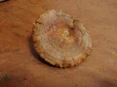 Níscalos de Navidad