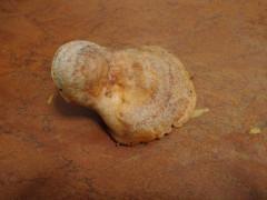 Níscalos de Navidad