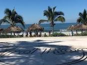 Hard Rock Nayarit hotel Hit!!!!