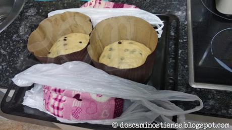 (Receta) Panettone de chocolate (Receta) Panettone de chocolate