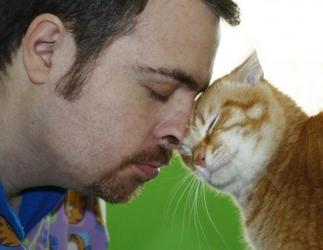 La Clínica Veterinaria de Ronda Sur lanza un plan de salud para gatos