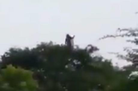 Captan a La Llorona  en #Colombia y desata el #terror en redes (VIDEO)