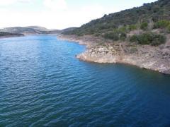 El dragón del Atance